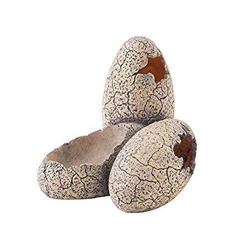 Exo Terra Dinosaur Eggs, Dinosaurier Eier, Versteckmöglichkeit und Wassernapf für Terrarienbewohner, klein Exo Terra Dinosaur Eggs, Dinosaurier Eier, Versteckmöglichkeit und Wassernapf für Terrarienbewohner, klein von Exo Terra