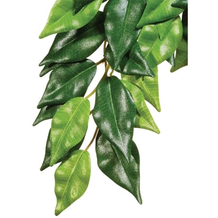 Exo Terra Ficus Kunstpflanze für Terrarien L Exo Terra Ficus Kunstpflanze für Terrarien L von Exo Terra