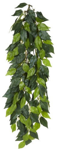 Exo Terra Fikus, hängende Regenwaldpflanze aus Seide, groß, Länge 62cm Exo Terra Fikus, hängende Regenwaldpflanze aus Seide, groß, Länge 62cm von Exo Terra