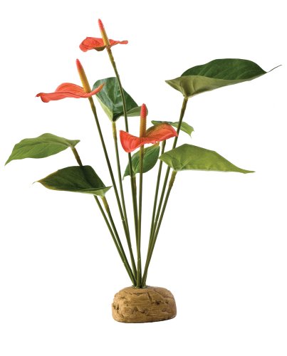 Exo Terra Flamingoblume, künstliche naturgetreue Pflanze für Terrarien, ideal für Regenwaldterrarien von Exo Terra