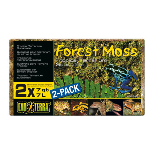 Exo Terra Forest Moss Exo Terra Forest Moss von Exo Terra