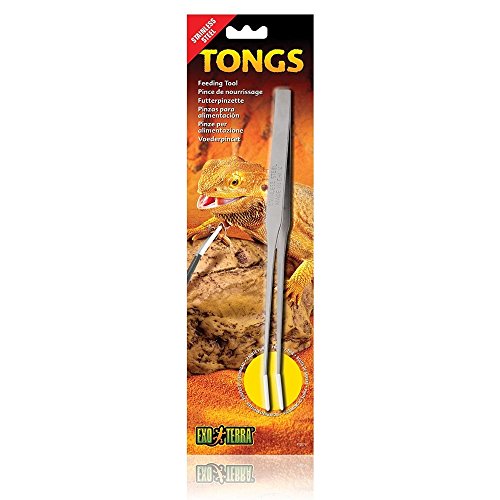 Exo Terra PT2075 Tongs feeding tool, Futterpinzette, Fütterungszange, aus hochwertigem Edelstahl, 1 Stück (1er Pack) von Exo Terra