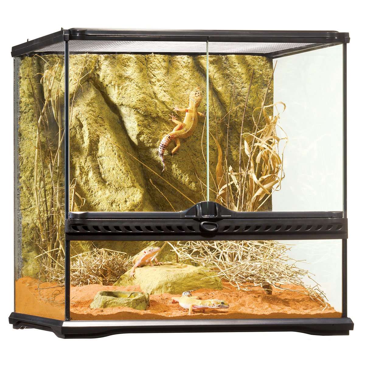 Exo Terra Glasterrarium 45x45x45 cm von Exo Terra