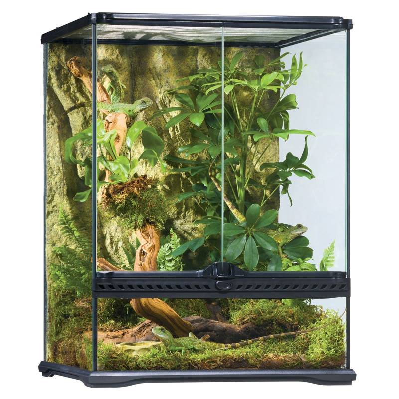 Exo Terra Glasterrarium 45x45x60 cm von Exo Terra