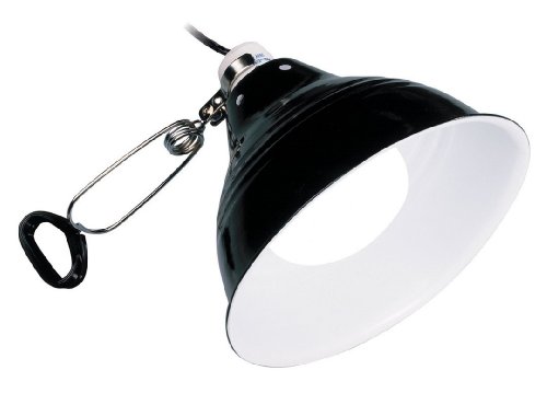 Exo Terra Glow Light, Porzellan-Klemmlampe und Leuchtreflektor, fuer Lampen bis 100W, Durchmesser 14cm, Schwarz von Exo Terra