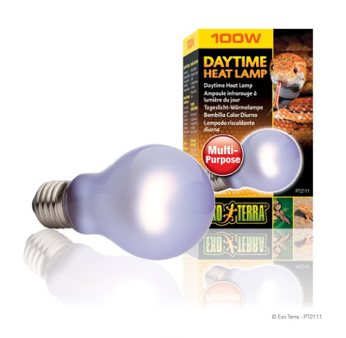 Exo Terra Daytime Heat Lamp, Breitspektrum Tageslichtlampe, A19, 100W, Fassung E27, Metallisch von Hagen