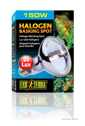 Exo Terra Halogen Basking Spot 150 Watt von Hagen