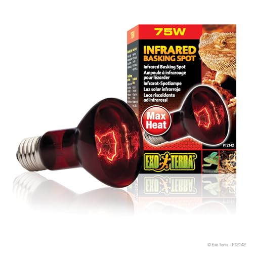 Exo Terra Infrared Basking Spot, Wärmespotlampe, R20, 75W, Fassung E27, 1 Stück (1er Pack) von Exo Terra