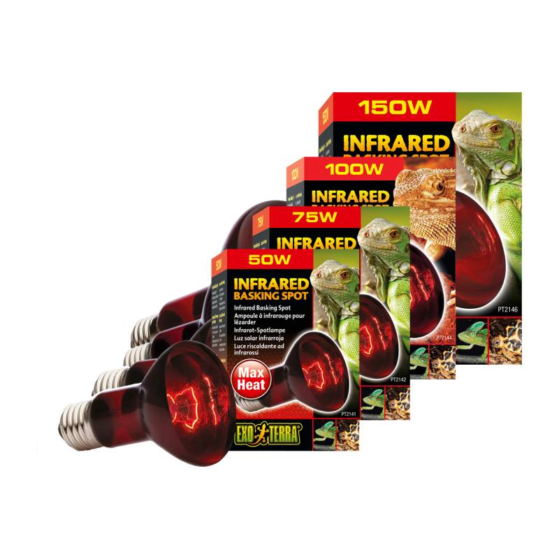 Exo Terra Infrarot Heat Spot - r20 75W Exo Terra Infrarot Heat Spot - r20 75W von Exo Terra