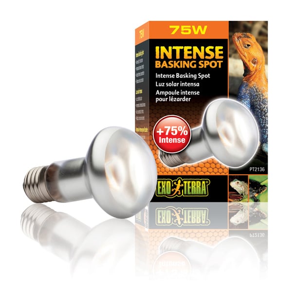 Exo Terra Intense Basking Spot 75 von Exo Terra