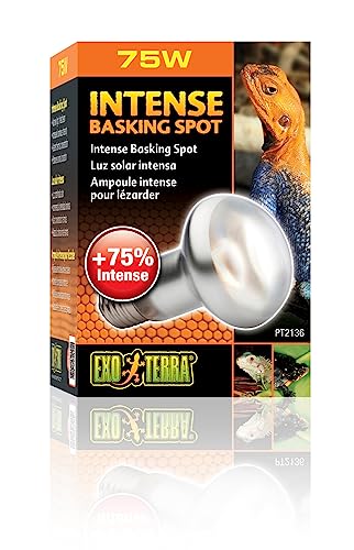 Exo Terra Intense Basking Spot, Wärmespotlampe, R20, 75W, Fassung E27 von Exo Terra