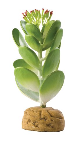 Exo Terra Jade Kaktus Terrarium Pflanze von Exo Terra