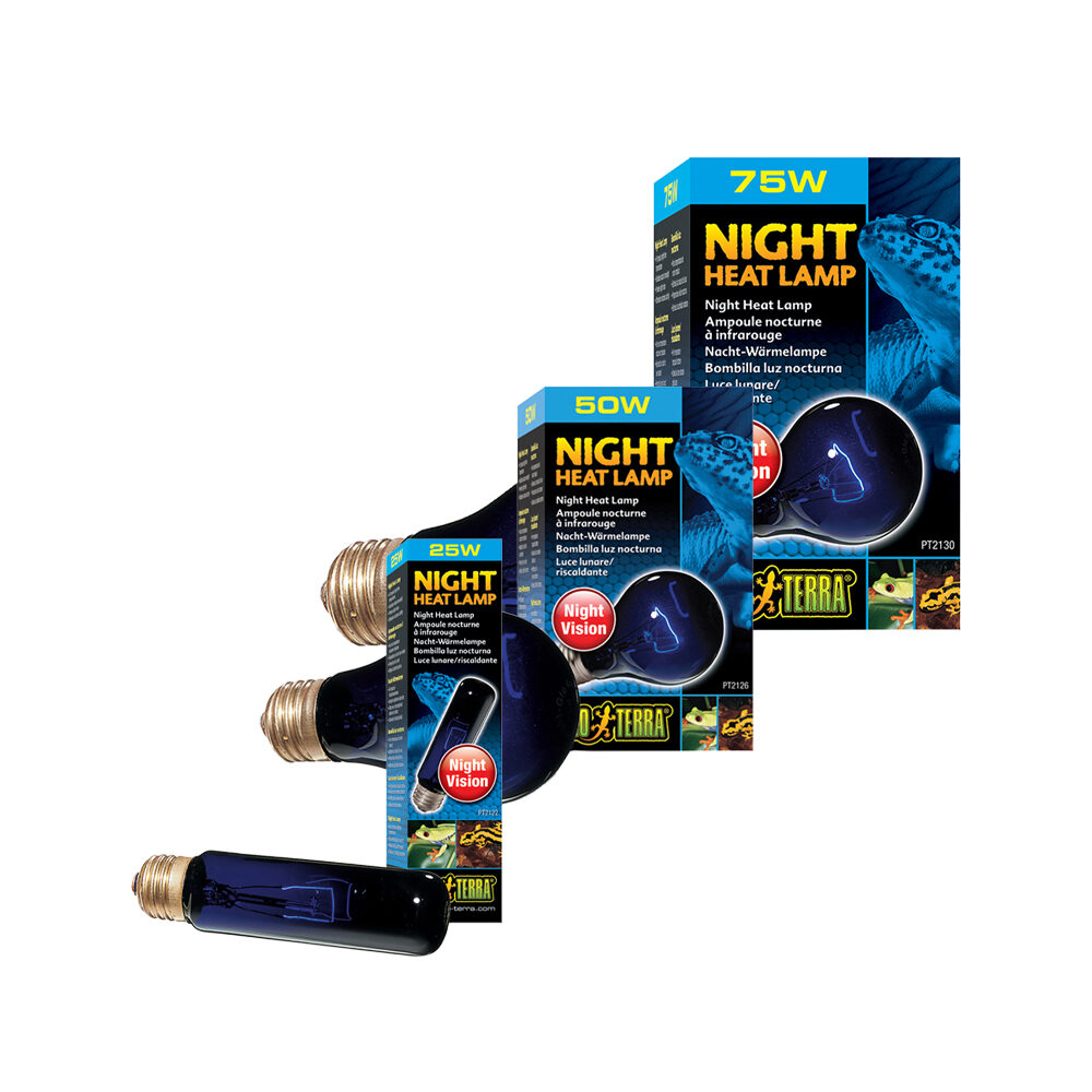 Exo Terra Mondlichtlampe ng t10 25W von Exo Terra