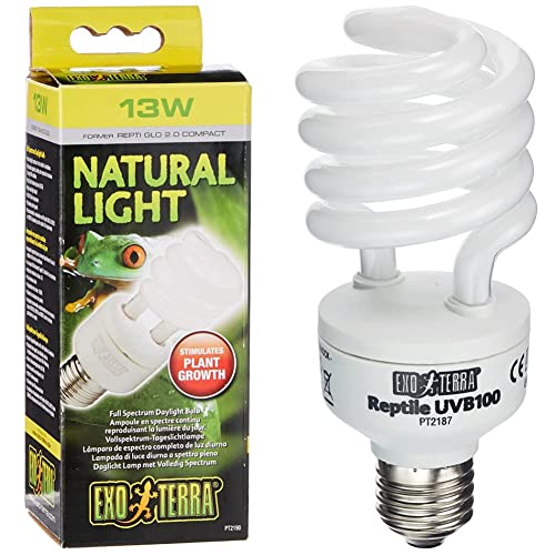 Exo Terra Natural Light, Vollspektrum-Tageslichtlampe, 13W, Fassung E27 & Reptile UVB 100, Tropische Terrarienlampe, Kompakte UVB Lampe fuer tropische und subtropische Reptilien, 13W, Fassung E27 Exo Terra Natural Light, Vollspektrum-Tageslichtlampe, 13W, Fassung E27 & Reptile UVB 100, Tropische Terrarienlampe, Kompakte UVB Lampe fuer tropische und subtropische Reptilien, 13W, Fassung E27 von Exo Terra