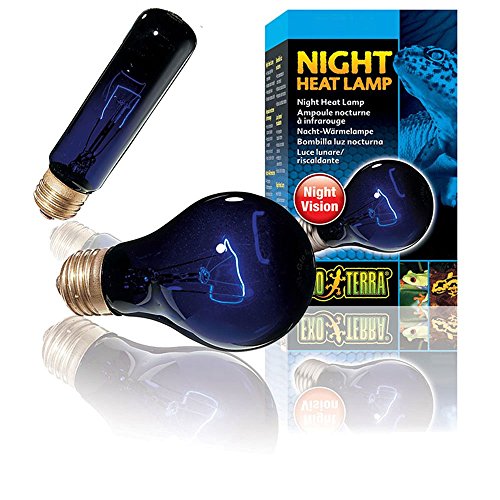 Exo Terra Night Heat Lamp, Mondscheinlampe für Reptilien und Amphibien, 50W, Fassung E27 von Exo Terra