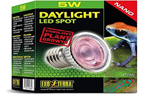 Exo Terra Daylight LED Spot NANO, LED Tageslichtlampe, für den Gebrauch im Exo Terra Reptile Dome Nano, 5W, Fassung E27, Silber, 1 Stück (1er Pack) von Exo Terra