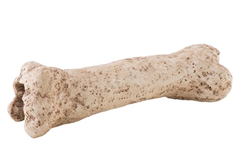 Exo Terra Dinosaur Bone, Dinosaurier Knochen, sicheres Versteck für Terrarienbewohner von Exo Terra