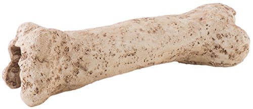 Exo Terra Dinosaur Bone, Dinosaurier Knochen, sicheres Versteck für Terrarienbewohner Exo Terra Dinosaur Bone, Dinosaurier Knochen, sicheres Versteck für Terrarienbewohner von Exo Terra