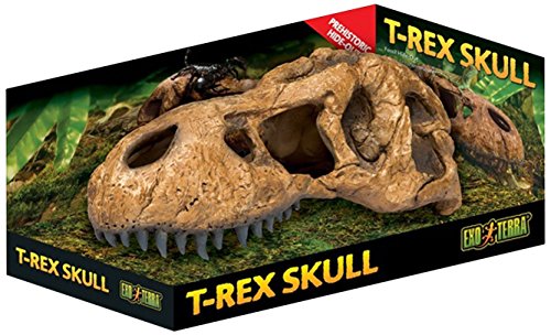 Exo Terra T-Rex-Schädel, sicheres Versteck für Reptilien und Amphibien, groß, 1 Stück (1er Pack) von Exo Terra