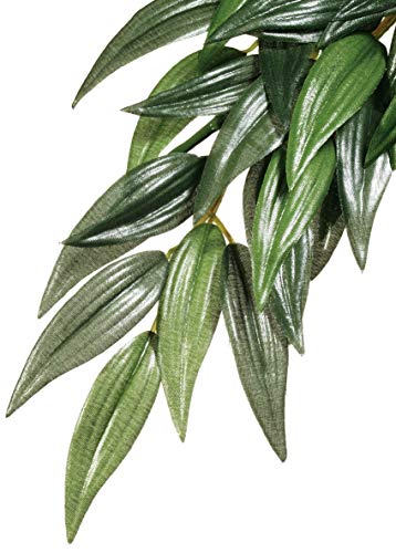 Exo Terra Planta Ruscus Medium 55 Cm Pt3041 von Exo Terra