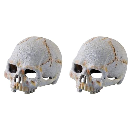 Exo Terra Primatenschädel, sicheres Versteck für Reptilien und Amphibien, klein (Packung mit 2) von Exo Terra