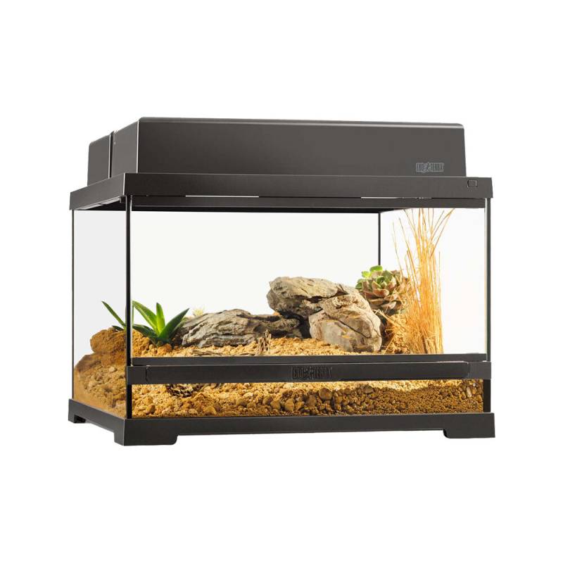 Exo Terra Pro Terrarium Low - M von Exo Terra