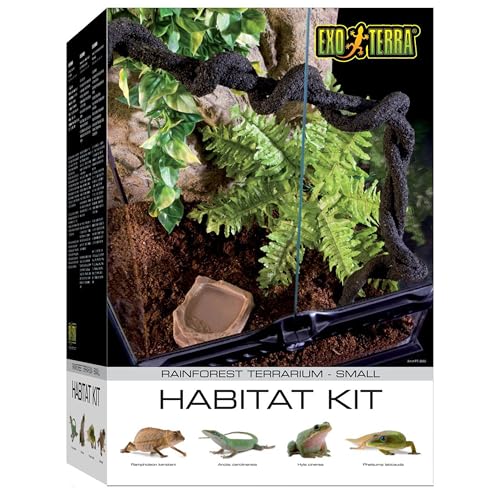 Exo Terra Rainforest Habitat Kit, Terrarien Starter Set Regenwald, inkl. Abdeckung, Thermometer, 3 künstlichen Pflanzen, Bodengrund, Wassernapf, 1 Liane, 30 x 30 x 45cm von Exo Terra