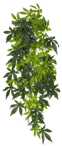 Exo Terra Abutilon, hängende Regenwaldpflanze aus Seide, groß, Länge 60cm von Exo Terra