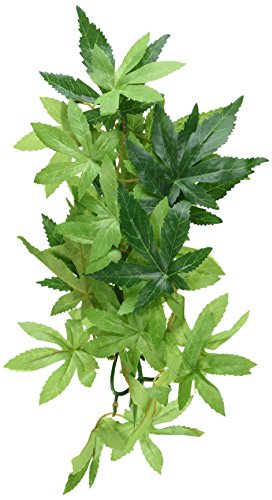 Exo Terra Abutilon, hängende Regenwaldpflanze aus Seide, klein, Länge 32cm von Hagen