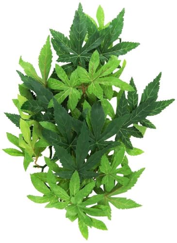 Exo Terra Abutilon, hängende Regenwaldpflanze aus Seide, mittel, Länge 42cm von Exo Terra