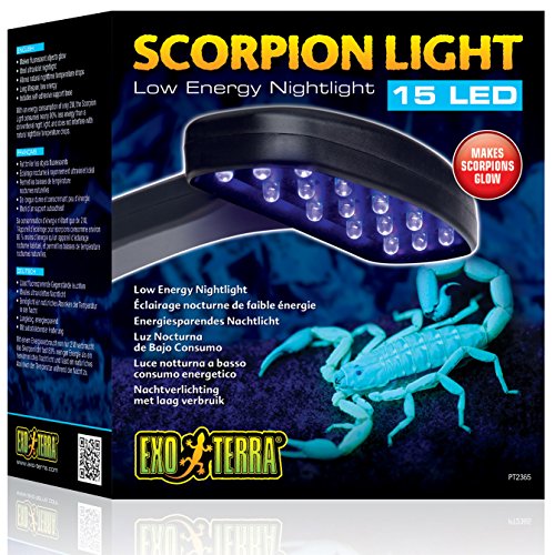 Exo Terra Scorpion Light, Skorpion Licht, energiesparendes ultraviolettes LED Nachtlicht, lässt fluoreszierende Gegenstände leuchten, 2W, 1 Stück (1er Pack) von Exo Terra