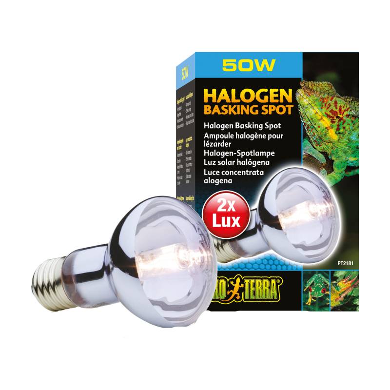 Exo Terra Sun Glo Halogen Tageslichtlampe - 50W Exo Terra Sun Glo Halogen Tageslichtlampe - 50W von Exo Terra