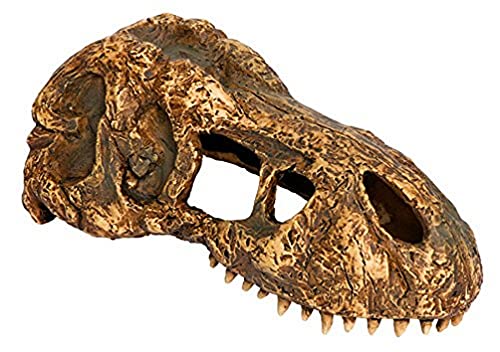 Exo Terra T-Rex-Schädel, sicheres Versteck für Reptilien und Amphibien, klein, 1 Stück (1er Pack) von Exo Terra