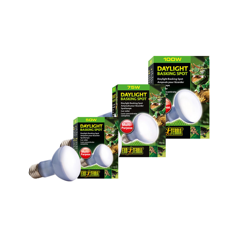 Exo Terra Tageslicht Wärmestrahler r20 50W von Exo Terra