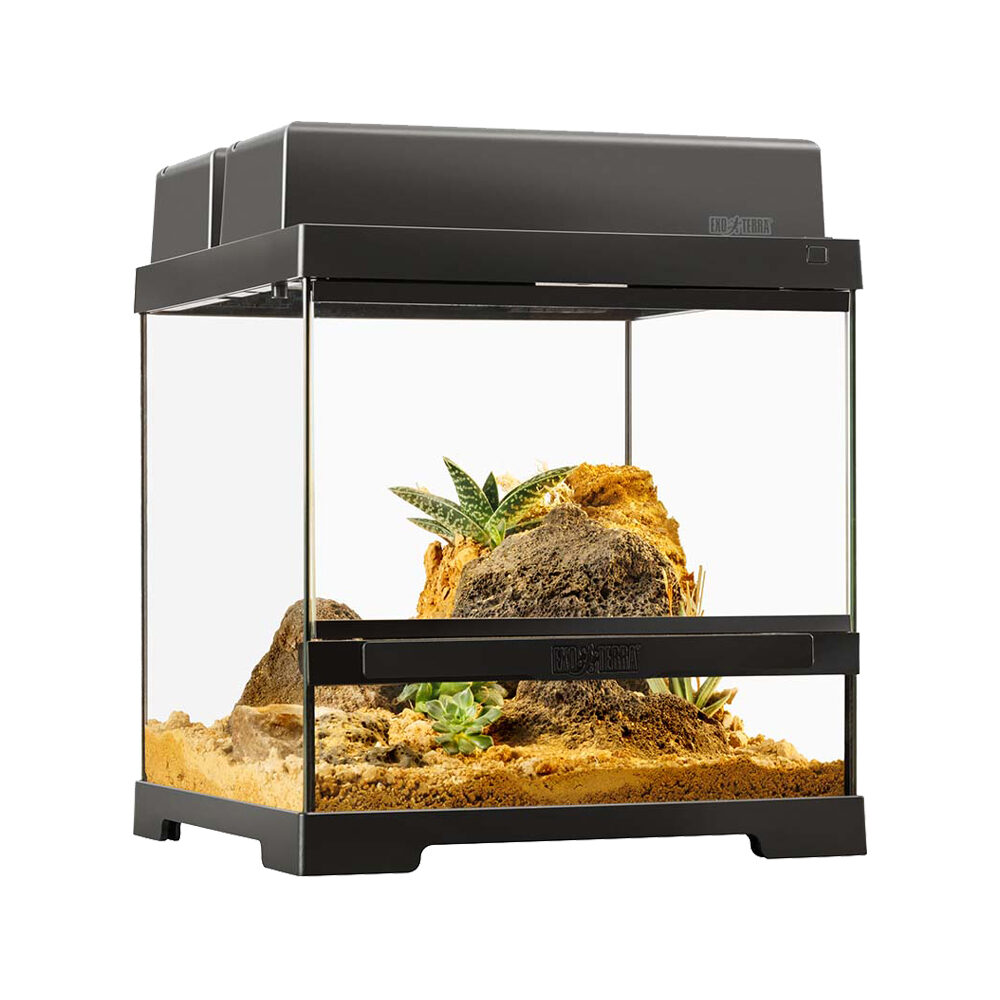 Exo Terra Pro Terrarium Wide - XS von Exo Terra
