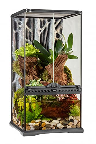 Exo Terra Terrarium aus Glas, mit einzigartiger Front Belüftung, 30 x 30 x 60cm, auch als Paludarium nutzbar von Exo Terra