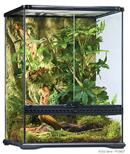 Exo Terra Terrarium aus Glas, mit einzigartiger Front Belüftung, 45 x 45 x 60cm von Exo Terra