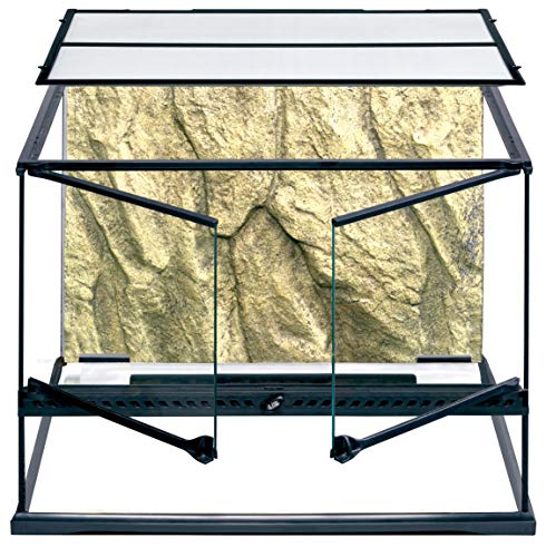 Exo Terra Terrarium aus Glas, mit einzigartiger Front Belüftung, 60 x 45 x 45cm von Exo Terra