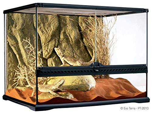 Exo Terra Terrarium aus Glas, mit einzigartiger Front Belüftung, 60 x 45 x 45cm von Exo Terra