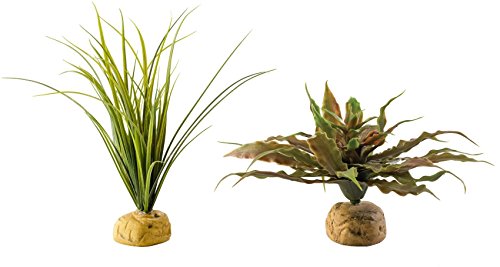 Exo Terra Terrariumpflanze Star Kaktus Turtle Grass Pflanze, Star Cactus and Turtle Grass Bundle Exo Terra Terrariumpflanze Star Kaktus Turtle Grass Pflanze, Star Cactus and Turtle Grass Bundle von Exo Terra