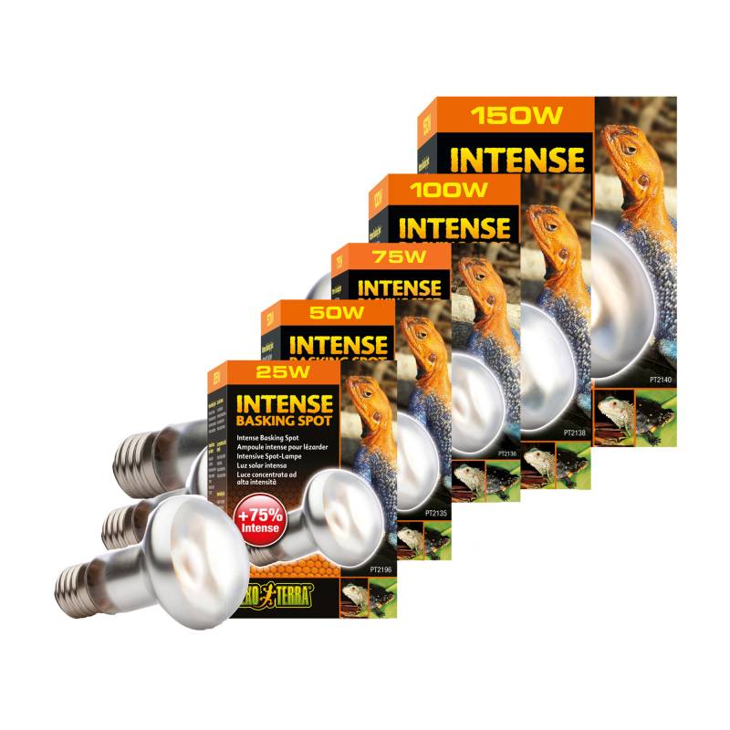 Exo Terra Tightbeam Tageslicht Wärmespot - r25 100W Exo Terra Tightbeam Tageslicht Wärmespot - r25 100W von Exo Terra