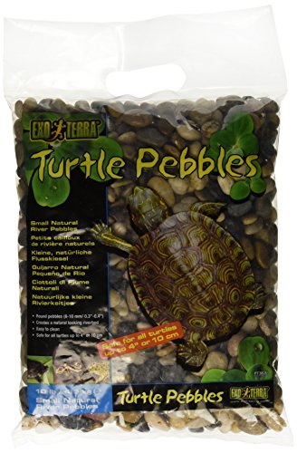 Exo Terra Turtle Pebbles Schildkrötenkies, 4,5 kg von Exo Terra