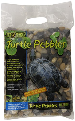 Exo Terra Turtle Pebbles Schildkrötenkies, 4,5 kg von Exo Terra