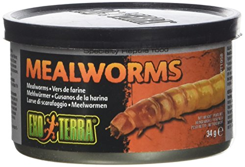 Exo Terra gekochte Mehlwürmer aus der Dose, Einzelfuttermittel für Reptilien, 34g von Exo Terra