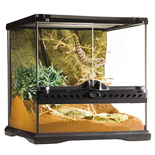 Exo Terra Terrarium aus Glas, mit einzigartiger Front Belüftung, 30 x 30 x 30cm von Exo Terra