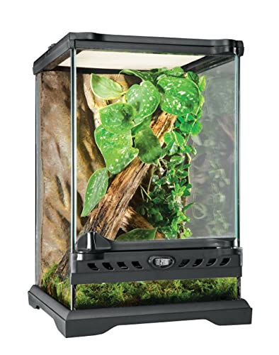 Exo Terra Terrarium aus Glas, mit einzigartiger Front Belüftung, 20 x 20 x 30cm von Exo Terra