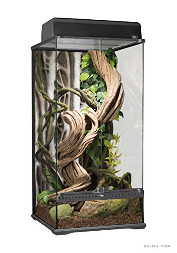 Exo terra Natürliches Terrarium für Reptilien/Amphibien 45 x 45 x 90 cm von Exo Terra