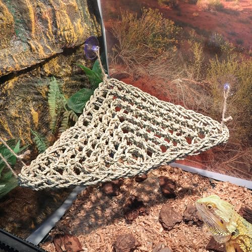 ExoRepti Bartdrache Hängematte Eidechse Tank Zubehör Reptilienliege Amphibien Lebensraum Dekor für Chamäleon, Geckos, Schlangen, Einsiedlerkrebse, Lguana-Reptilien, Schildkröten ExoRepti Bartdrache Hängematte Eidechse Tank Zubehör Reptilienliege Amphibien Lebensraum Dekor für Chamäleon, Geckos, Schlangen, Einsiedlerkrebse, Lguana-Reptilien, Schildkröten von ExoRepti