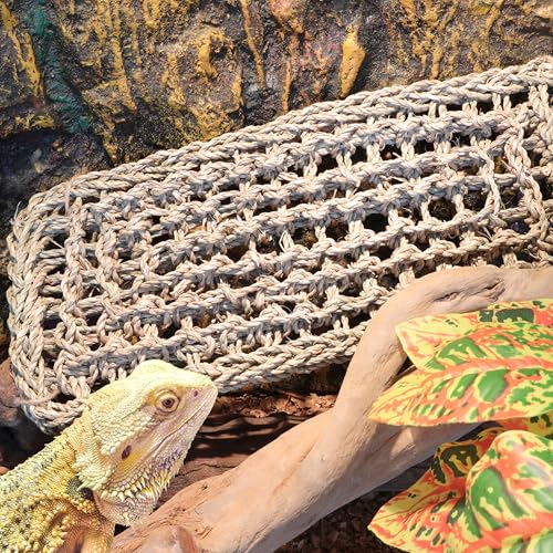 ExoRepti Bartdrache Hängematte Eidechse Tank Zubehör Reptilienliege Amphibien Lebensraum Dekor für Chamäleon, Geckos, Schlangen, Einsiedlerkrebse, Lguana-Reptilien, Schildkröten ExoRepti Bartdrache Hängematte Eidechse Tank Zubehör Reptilienliege Amphibien Lebensraum Dekor für Chamäleon, Geckos, Schlangen, Einsiedlerkrebse, Lguana-Reptilien, Schildkröten von ExoRepti