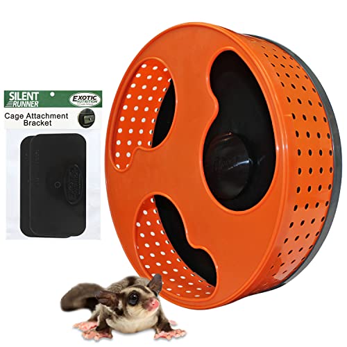 Exotic Nutrition 30,5 cm Silent Runner | Sugar Glider Übungsrad Exotic Nutrition 30,5 cm Silent Runner | Sugar Glider Übungsrad von Exotic Nutrition